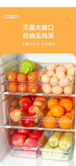 Refrigerator Storage Box