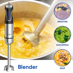 BioloMix 5 in 1 Immersion Hand Blender