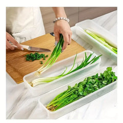 Food Preservation Boxes