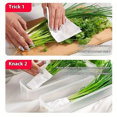 Food Preservation Boxes