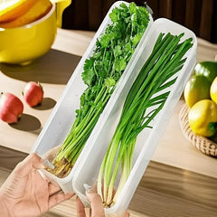 Food Preservation Boxes