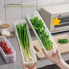 Food Preservation Boxes