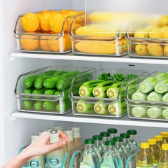 Refrigerator Storage Box