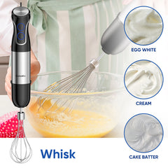 BioloMix 5 in 1 Immersion Hand Blender